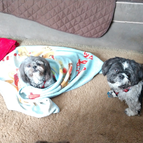 Meet your Posher, Pamela - Picture 2 of 2